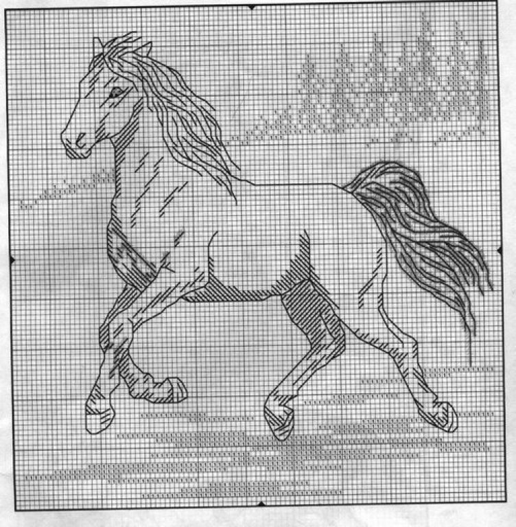 Schema punto croce Purosangue 1