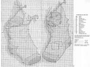 Schema punto croce calzini rotti 1