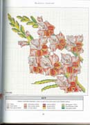 Schema punto croce Cuscino Motivo Floreale 1