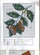 Schema punto croce Farfalla Su Foglie