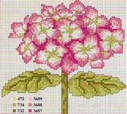 Schema punto croce Fiore Rosa