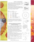 Schema punto croce Topo 2