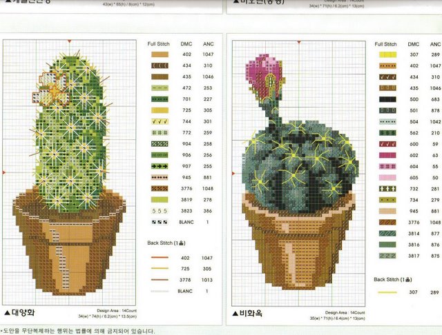 Schema punto croce Cactus 7