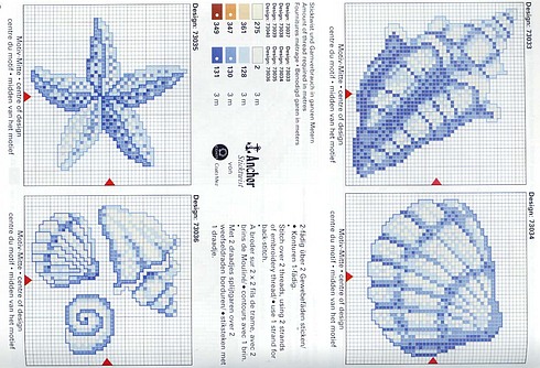 Schema punto croce Conchiglie stellamarina