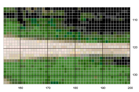 Schema punto croce Dogwood trees 6