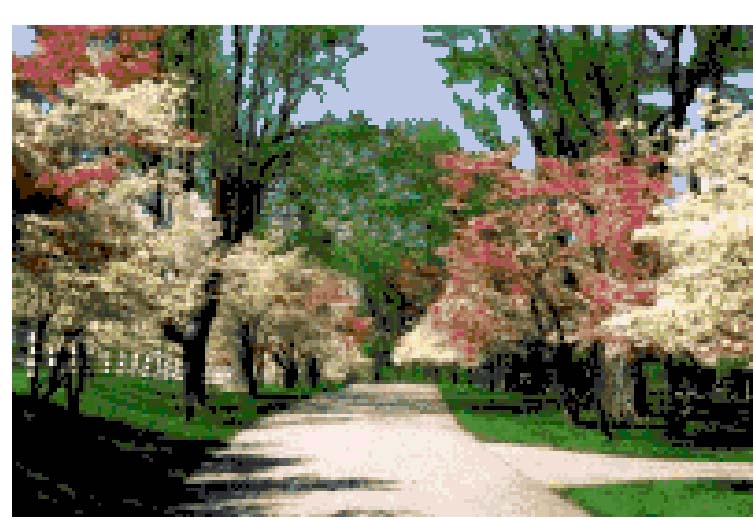 Schema punto croce Dogwood trees