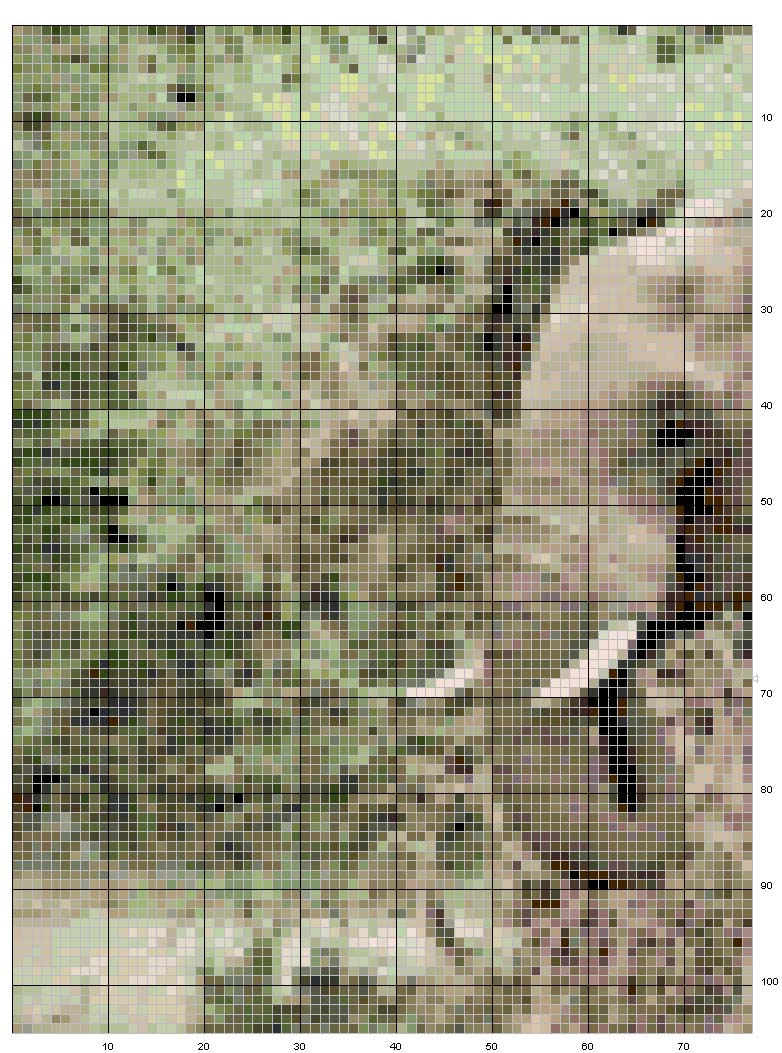 Schema punto croce Elefante 1