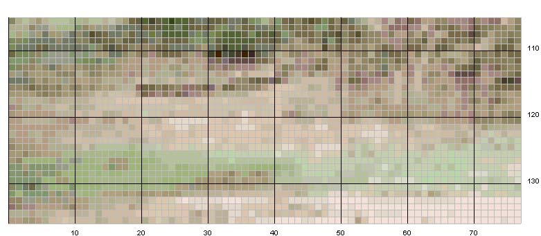 Schema punto croce Elefante 2