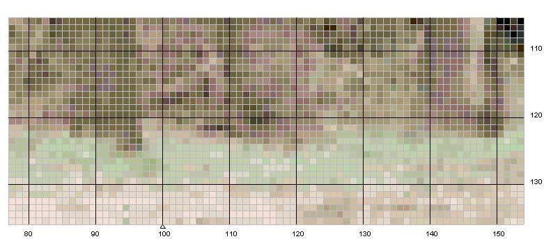 Schema punto croce Elefante 4