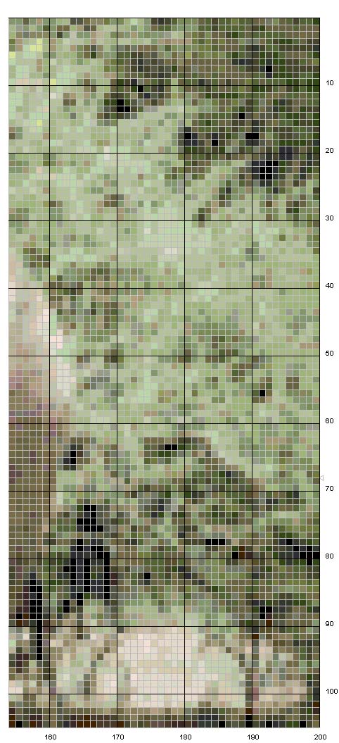 Schema punto croce Elefante 5