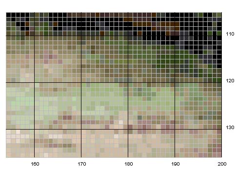 Schema punto croce Elefante 6