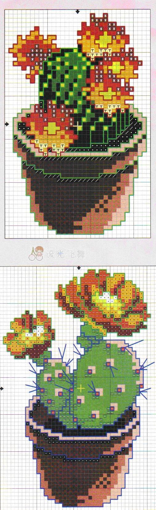 Schema punto croce Pianta grassa 1