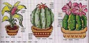 Schema punto croce Cactus-2
