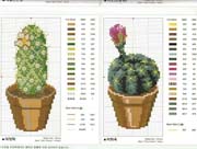 Schema punto croce Cactus-7