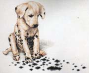 Schema punto croce Cagnolino-macchie