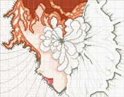 Schema punto croce Donna-2