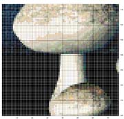 Schema punto croce Fataaa-2