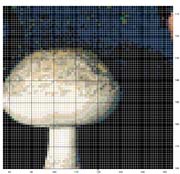 Schema punto croce Fataaa-4