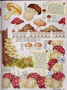 Schema punto croce Funghi