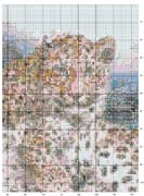 Schema punto croce Giaguari-3