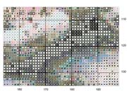 Schema punto croce Giaguari-6