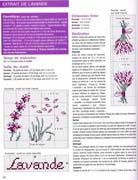 Schema punto croce Lavanda-2
