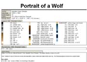 Schema punto croce Lupo-legenda