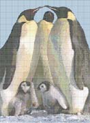 Schema punto croce Pinguini-gruppo
