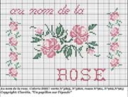 Schema punto croce Rose-10