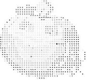 Schema punto croce Zucca-simboli