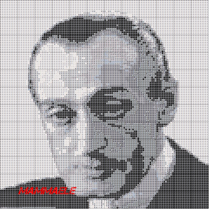 Schema punto croce Toto mammaele