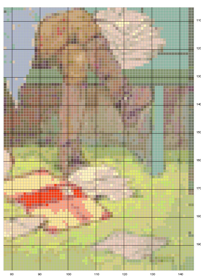 Schema punto croce Vecchietta turbata 4