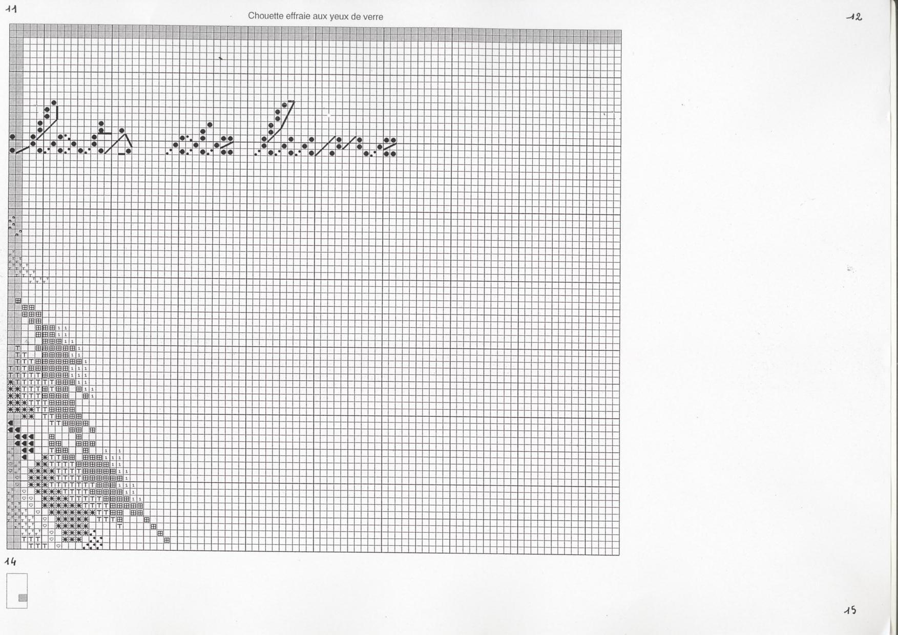 Schema punto croce Civetta 9