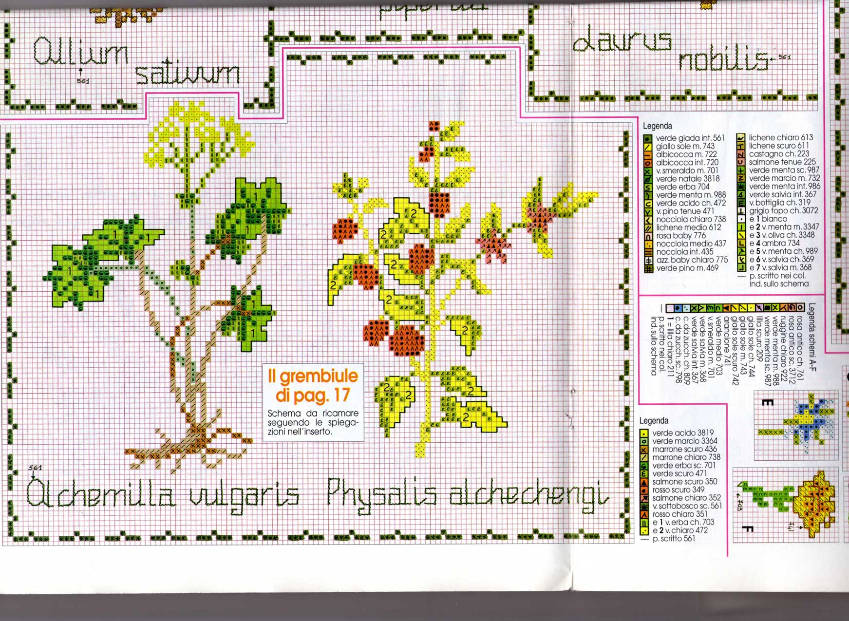 Schema punto croce Piante aromatiche 10