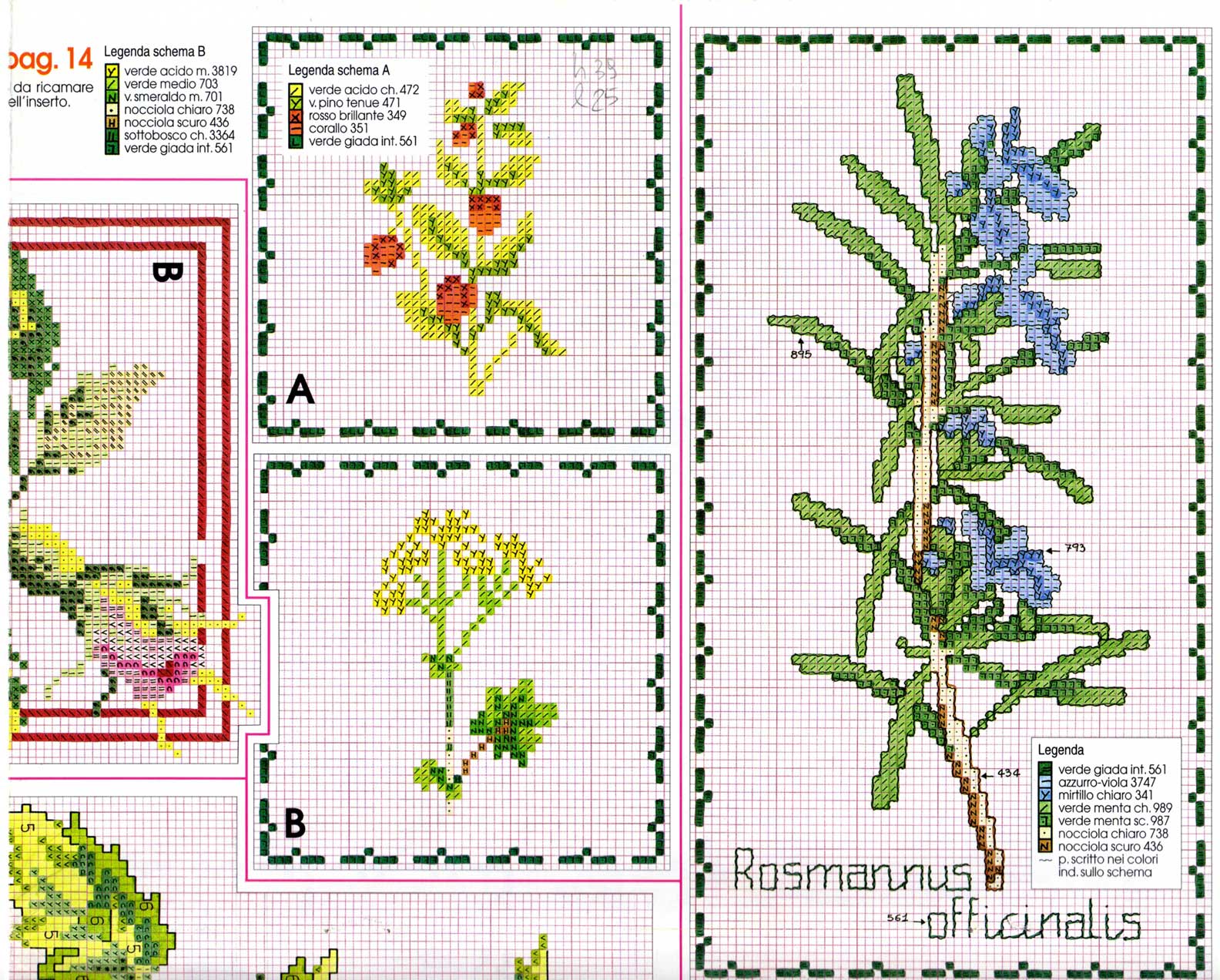 Schema punto croce Piante aromatiche 3