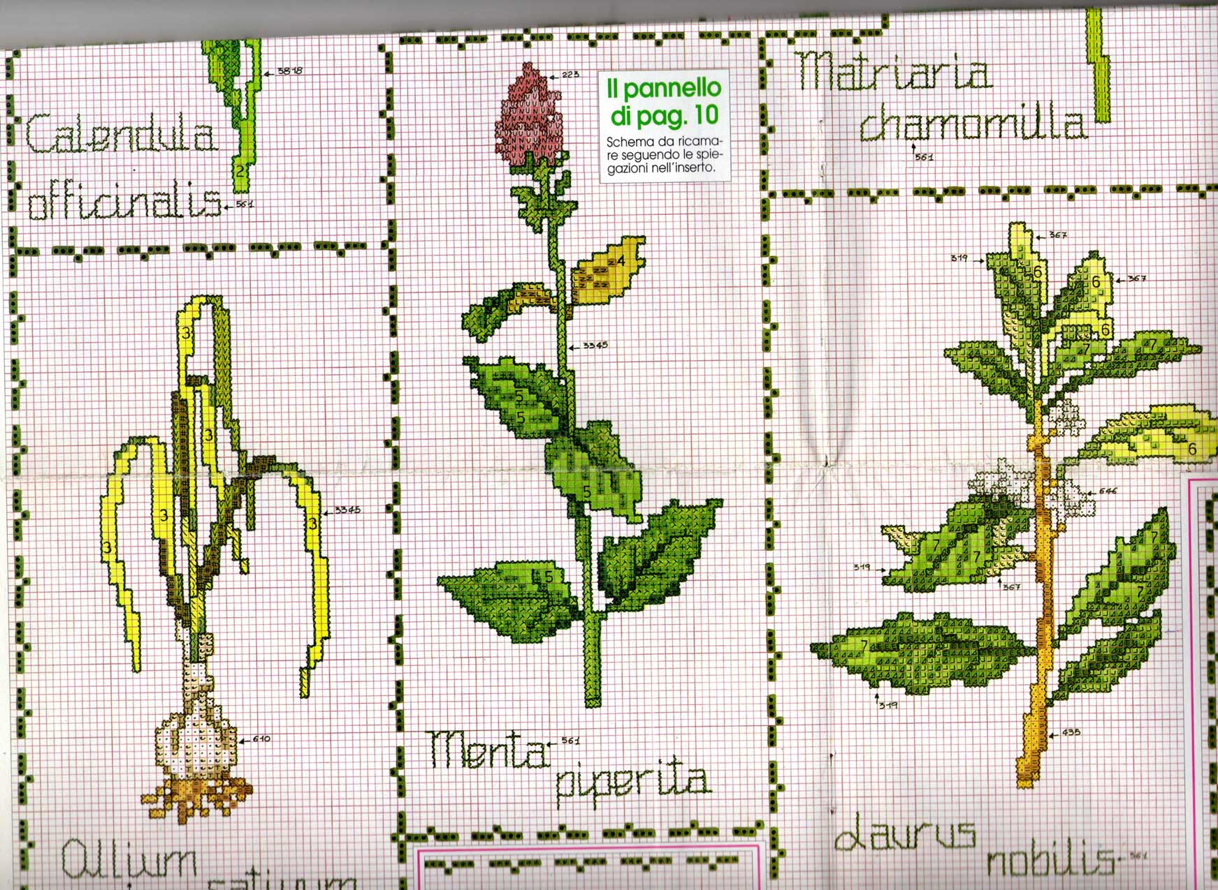 Schema punto croce Piante aromatiche 4