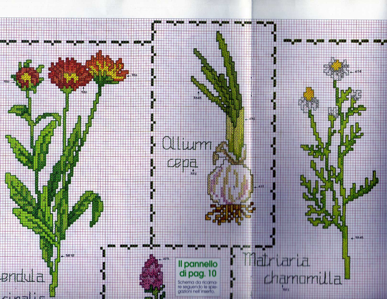 Schema punto croce Piante aromatiche 5
