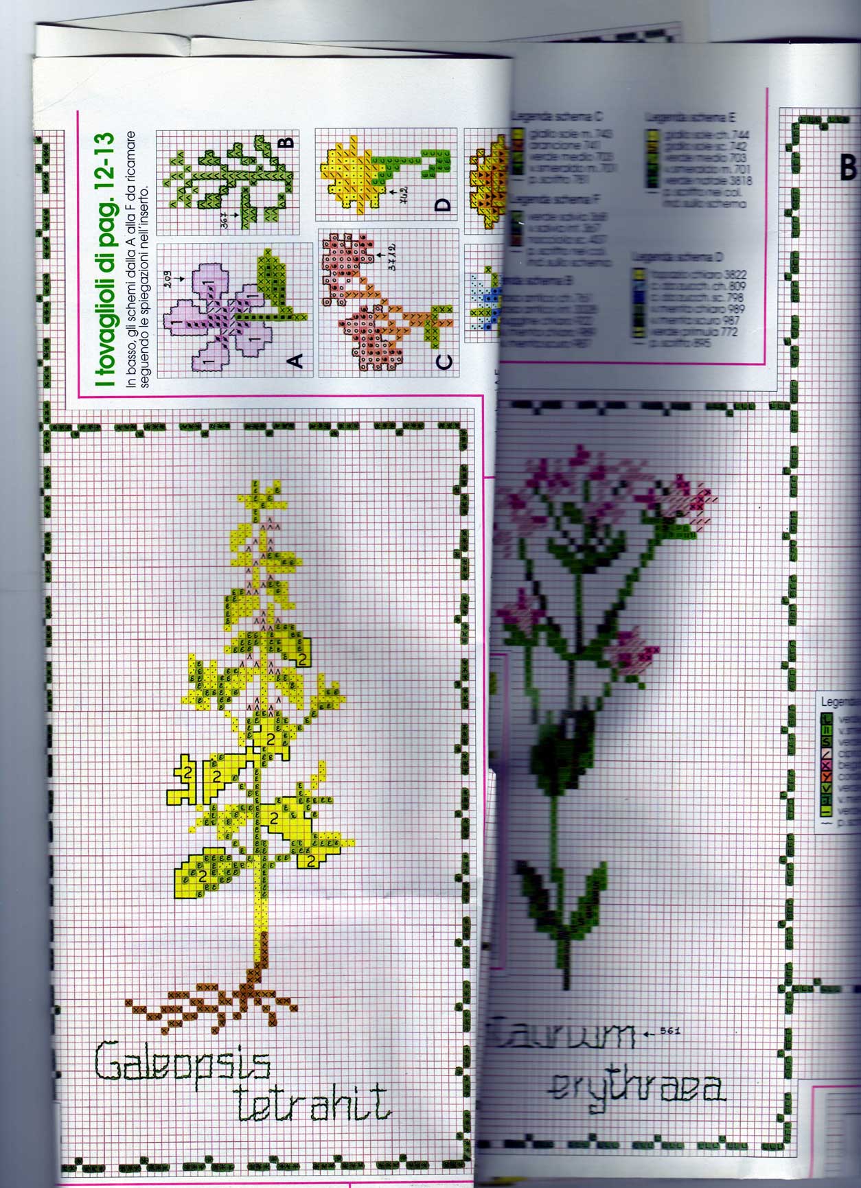 Schema punto croce Piante aromatiche 7