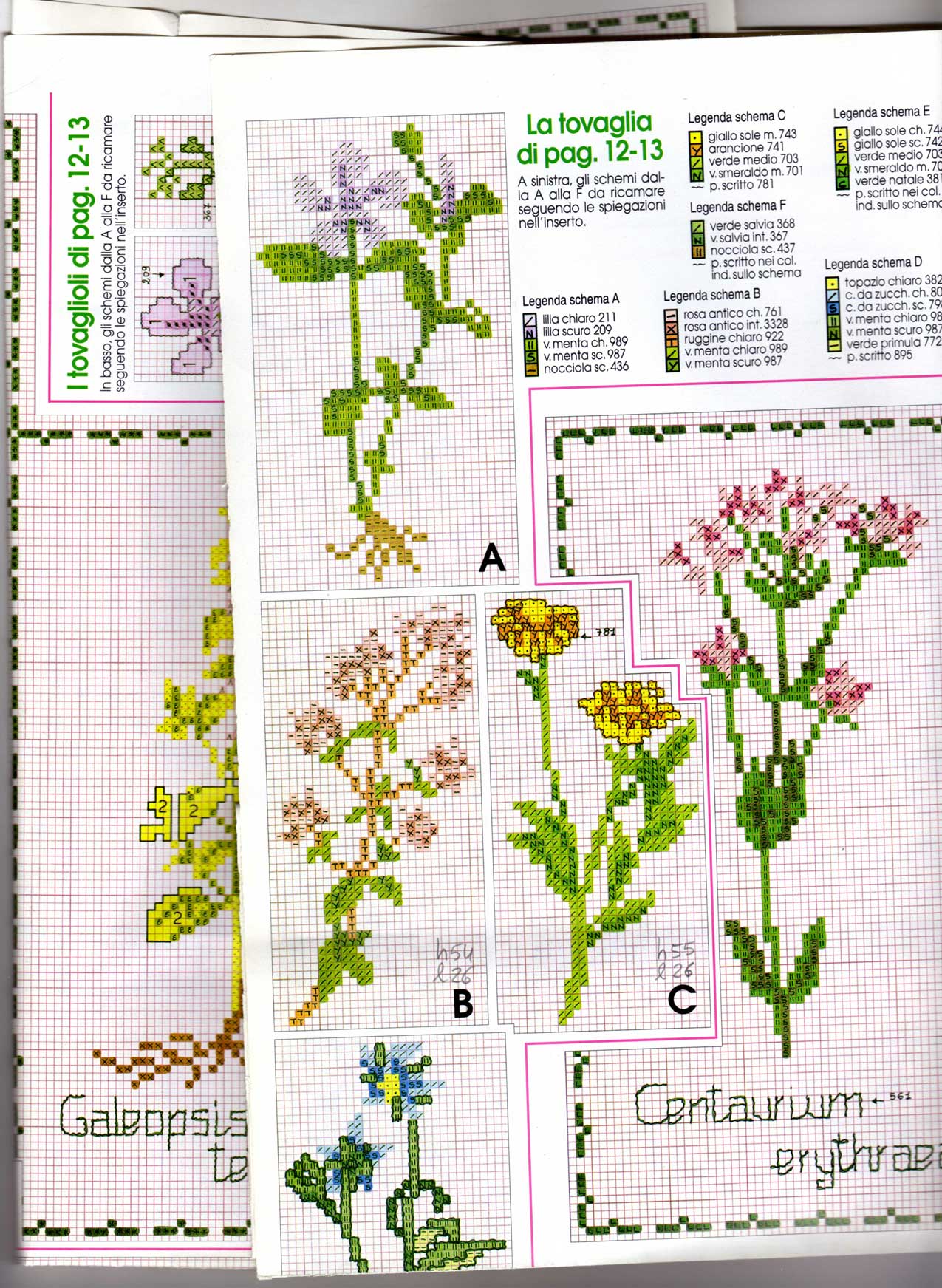 Schema punto croce Piante aromatiche 8