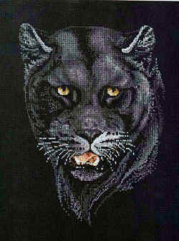 Schema punto croce Puma 1