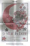 Schema punto croce a star is born