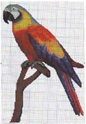 Schema punto croce Pappagallo 2