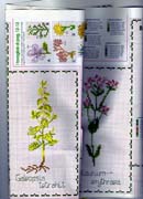 Schema punto croce Piante Aromatiche 7