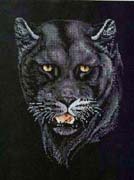 Schema punto croce Puma 1