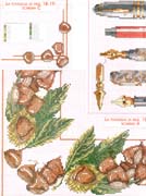 Schema punto croce Castagne 01