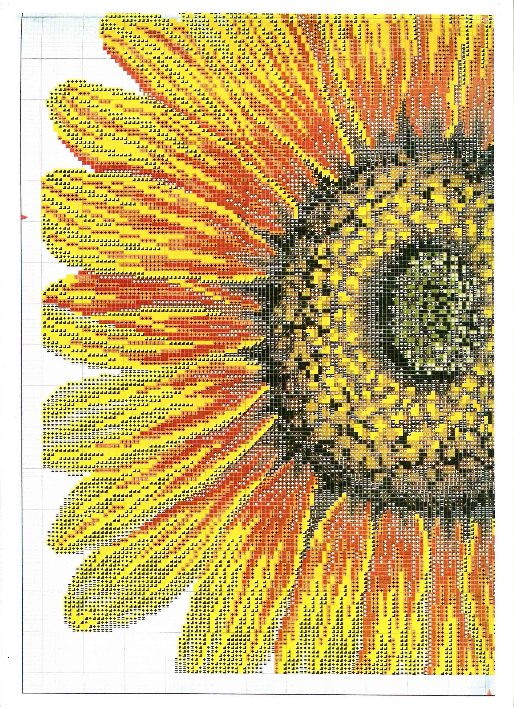 Schema punto croce Cuscino Girasole 02