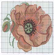 Schema punto croce Cuscino Papevero 02