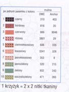 Schema punto croce Cuscino Papevero 04