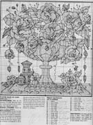 Schema punto croce Vaso Di Rose 02