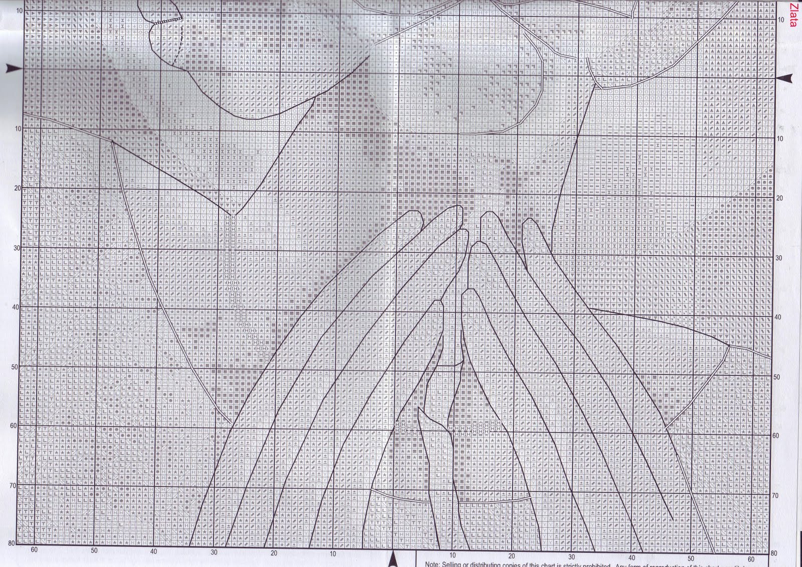 Schema punto croce Magnolia4